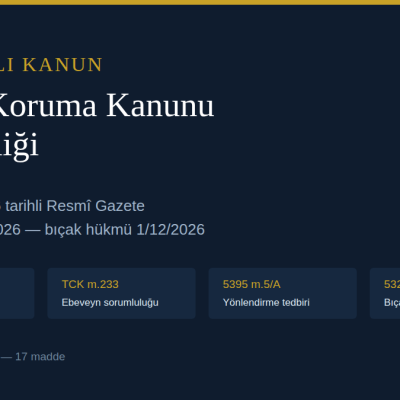 7593 sayılı Kanun ile Çocuk Koruma Kanunu değişikliği konulu makale kapak görseli