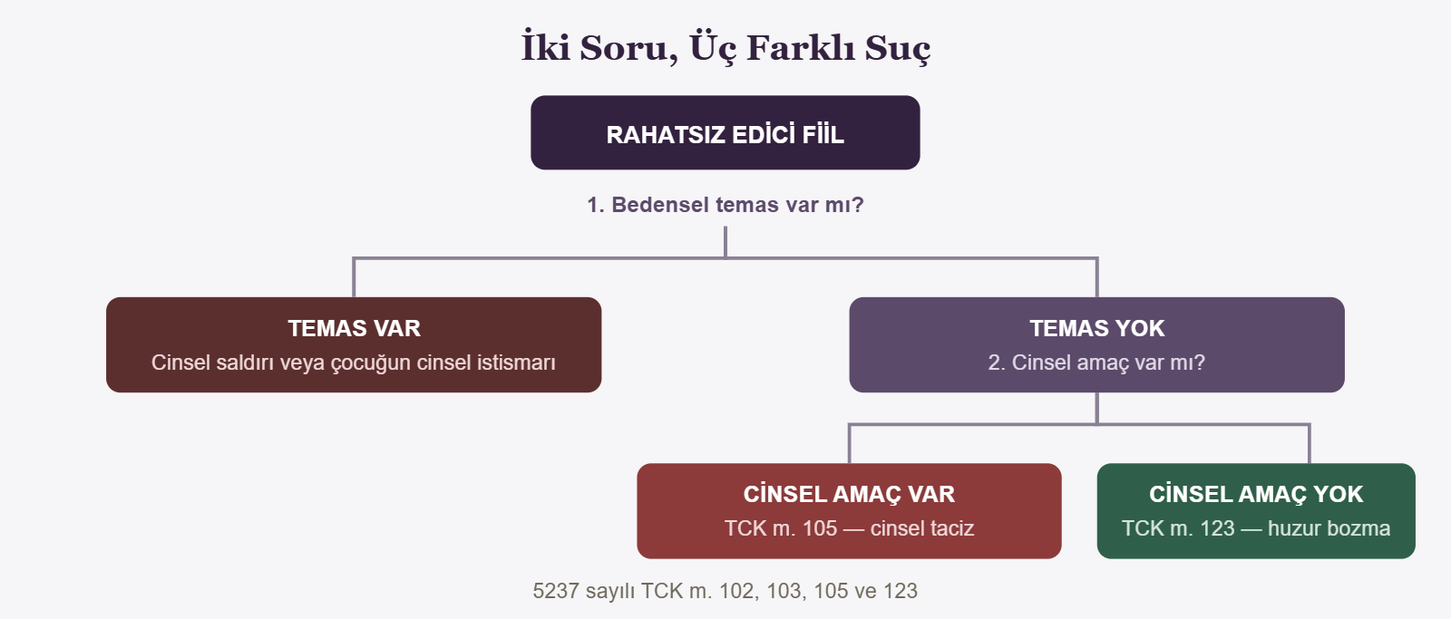 İki Soru, Üç Farklı Suç - RAHATSIZ EDİCİ FİİL