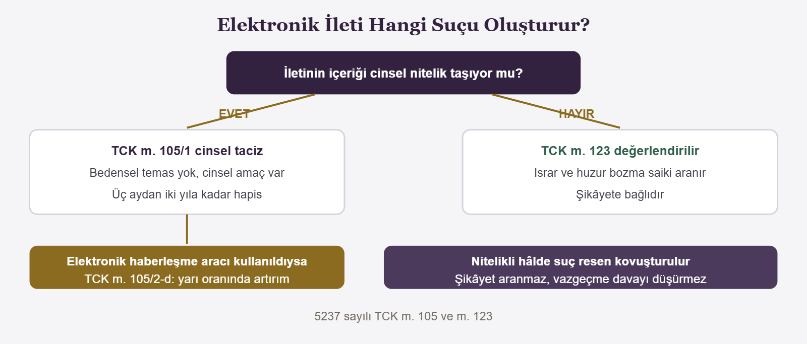 Elektronik İleti Hangi Suçu Oluşturur? - İletinin içeriği cinsel nitelik taşıyor mu?