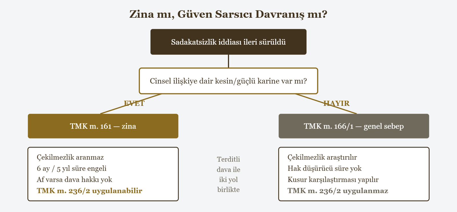 Zina mı, Güven Sarsıcı Davranış mı? - Sadakatsizlik iddiası ileri sürüldü